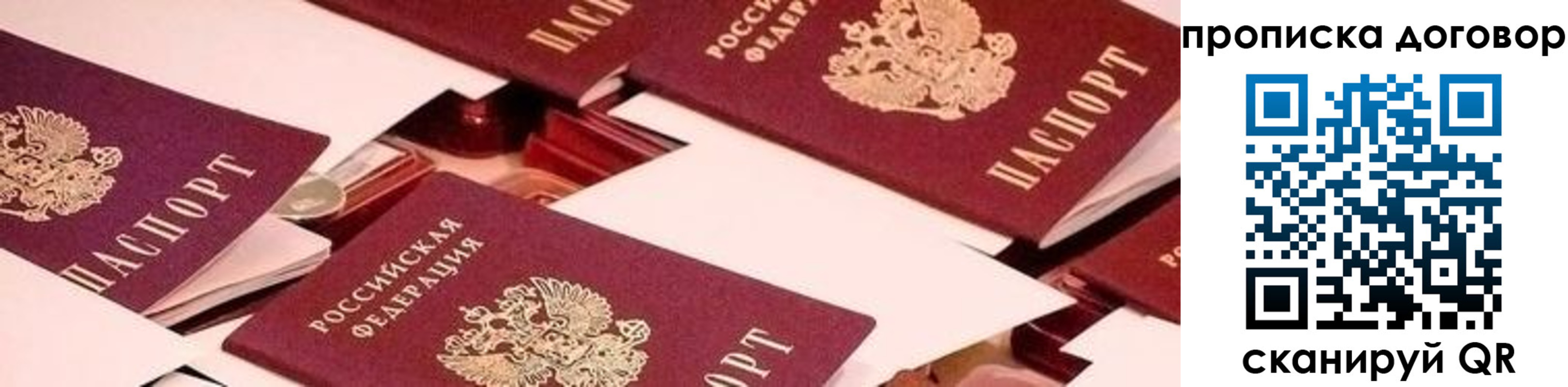 прописка 2025 в Новосибирской области